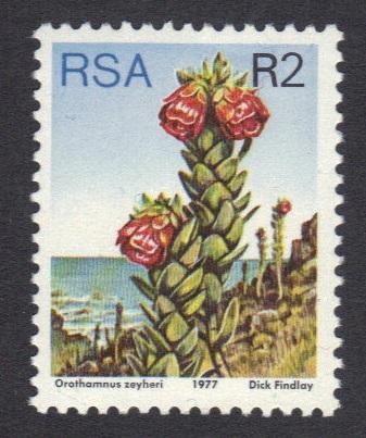 South Africa 1977 MNH succulents   perf 12 1/2     2 R     #