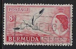 Bermuda 153 VFU BIRD X846-9