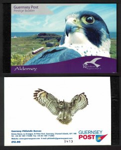 Alderney Birds Raptors Buzzard Falcon Kestrel Owl Prestige Booklet 2008 MNH