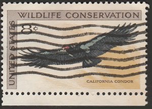 # 1430 USED CALIFORNIA CONDOR