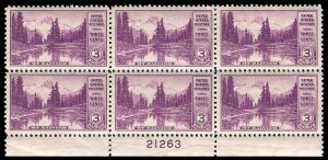 USA 742 Mint (NH) Plate Block of 6 (tear center selvage)