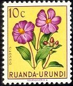 Flower, Dissotis, Ruanda-Urundi stamp SC#114 MNH