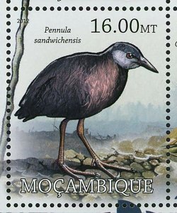 Birds Stamp Quiscalus Palustris Gallirallus Wakensis S/S MNH #5718-5725