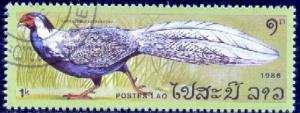 Bird, Silver Pheasant, Laos stamp SC#716 used