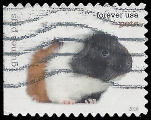 #5114 (47c Forever) Guinea Pig Booklet Single 2016 Used