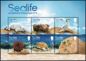 Alderney 2020 MNH Stamps Souvenir Sheet Scott 651a Marine Life Seal Turtle Anima