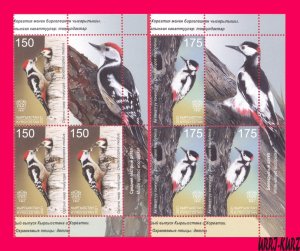 KYRGYZSTAN 2021 Joint Croatia Nature Fauna Protected Birds Woodpeckers 6v+ MNH