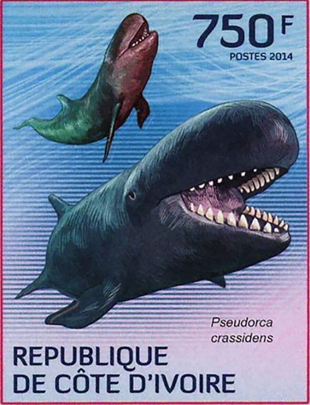 Whale Stamp Feresa Attenuata Pseudorca Crassidens Megaptera Novaeangliae S/S MNH