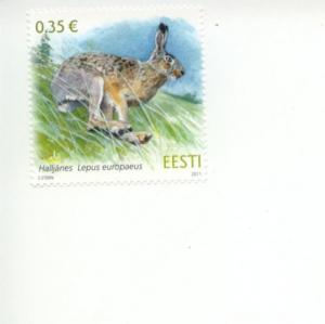2011 Estonia European Brown Hare (Scott 673) MNH