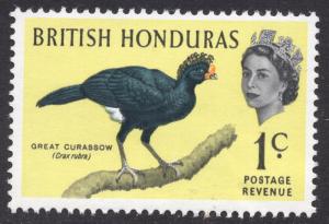 British Honduras Scott 167
