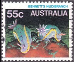 Australia # 913 used ~ 55¢ Marine Life - Bennett's Nudibranch