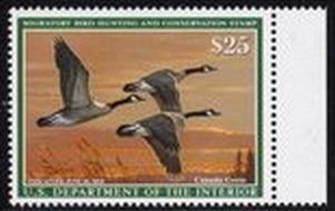 US Stamp #RW84 MNH - Gaggle of Canada Geese in Flight Over the Pond RtMrgn. Sngl