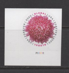 Scott#  5460  Chrysanthemum  Global forever unused MNH plate # P111111 single