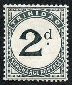 TRINIDAD SGD11 2d 1905 Post Due Wmk Mult Crown CA M/Mint