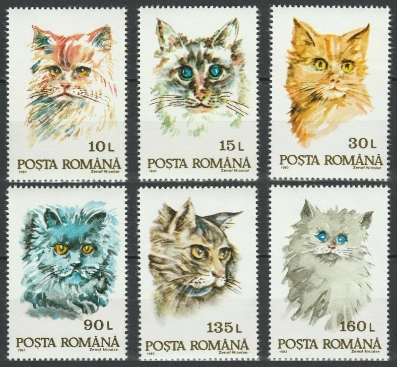 1993	Romania	4885-4890	Cats