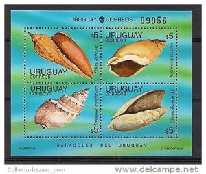 Marine life fauna Seashell shell conch URUGUAY Sc#1584 MNH STAMP s/s cv$20