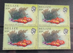 (978) BELIZE 1984 : Sc# 705 SEA FANS AND FIRE SPONGE - MNH VF BLOCK OF 4