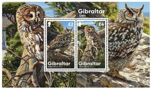 Gibraltar 2020 MNH Stamps Souvenir Sheet Owls Birds