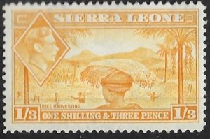 Sierra Leone # 181A   Rice Harvest  1sh3d.   1944   (1)  VF Unused