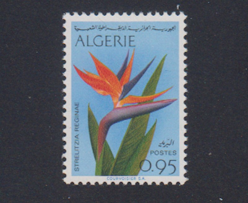 Algeria - 1969 - SC 414 - NH - High value