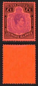 Leeward Is SG114c One Pound Perf 13 Violet and Black/Scarlet U/M Cat 30 pounds