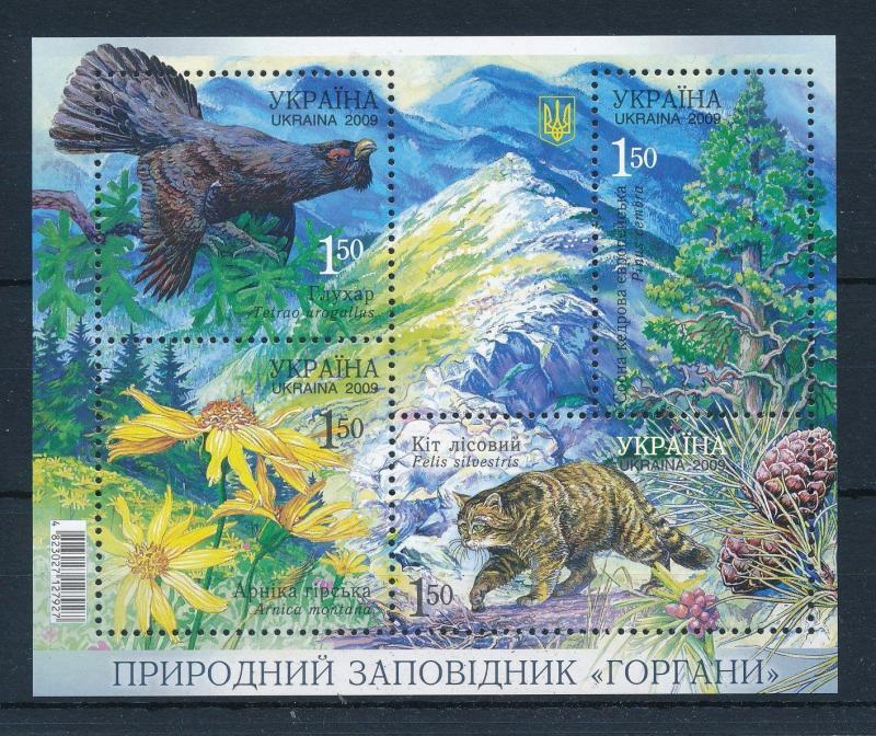 [34779] Ukraine 2009 Animals Bird Fowl Wild cat MNH Sheet