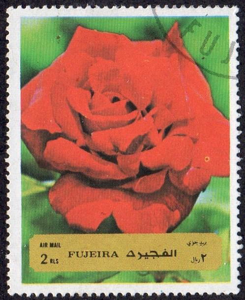 Fujeira sw1294 - Cto - 2r  Red Rose (1972) (cv $1.20)