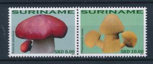 [SU1777] Suriname Surinam 2011 Mushrooms Pilze Champignons  MNH