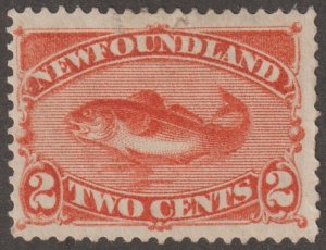 EDSROOM-22174 Newfoundland 48 H 1887 Codfish CV$37.50