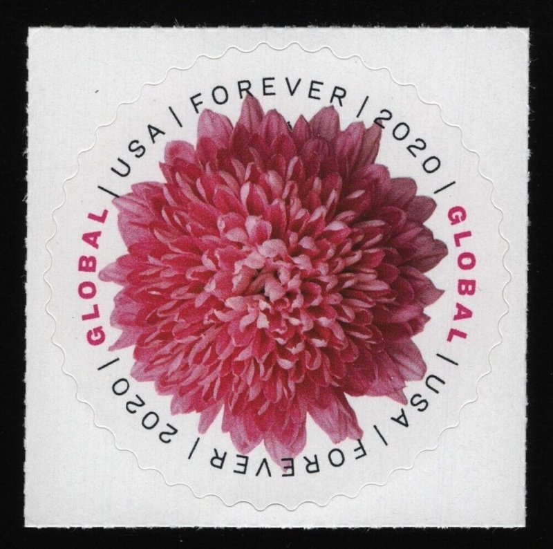 #5460 Global Forever: Chrysanthemum, Mint **ANY 5=FREE SHIPPING**