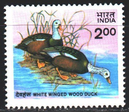 India. 1985. 1021. Ducks, birds, fauna. MNH.