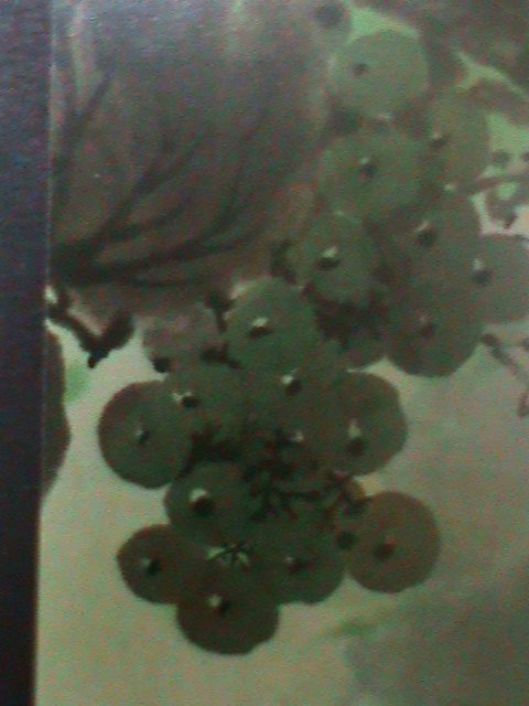 ​KOREA-1993-SC#3232a-  FRUITS AND VEGETABLES-OG CTO -SHEET- VF-LAST ONE