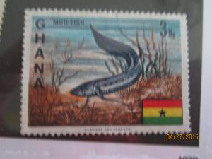 Ghana #290 lung fish