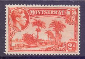 Montserrat Scott 95a - SG104, 1938 George VI 2d Perf 13 MH*