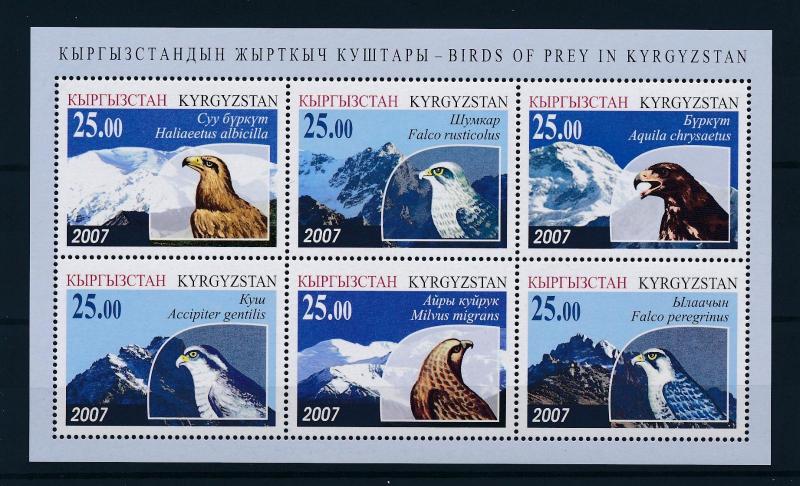 [41004] Kyrgyzstan 2007 Birds Vögel Oiseaux Ucelli  of prey MNH Sheet