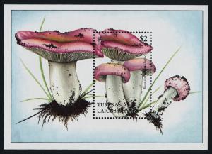 Turks & Caicos 1082 MNH Mushrooms