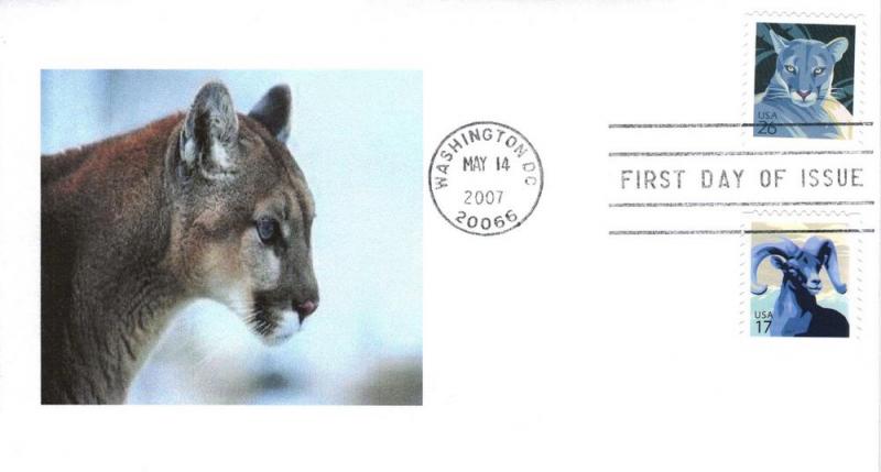 Florida Panther FDC, from Toad Hall Covers!