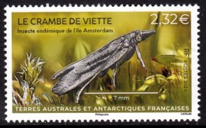 TAAF FRANCE ANTARCTIC 2024 INSECTS INSECTES INSEKTEN FSAT