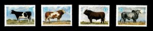 Zambia 1987 - FAO World Food Day Cattle - Set of 4v - Scott 418-421 - MNH