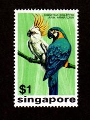 Singapore # 239 Mint Parrots!