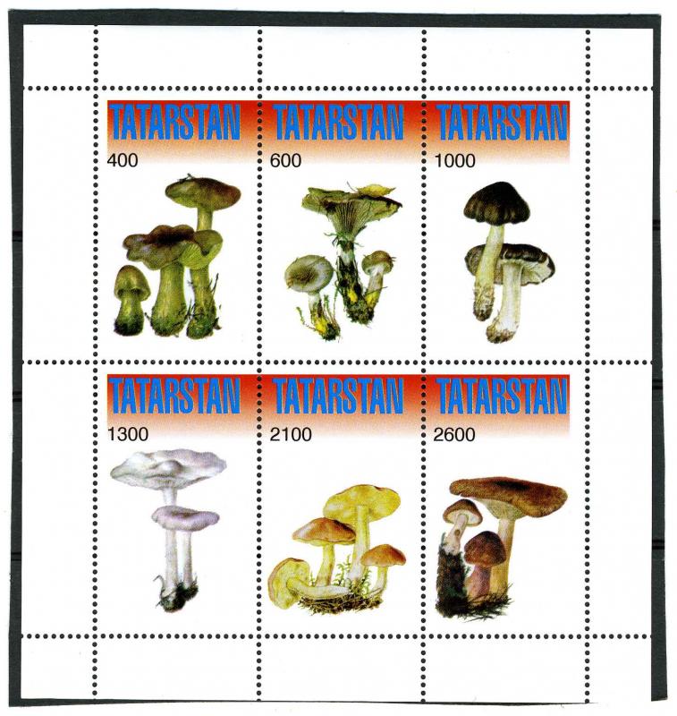 Tatarstan 1998 (Russia local) MUSHROOMS Sheet Perforated Mint (NH)