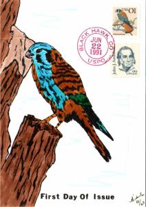 #2476 American Kestrel Nichols FDC