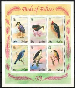 Belize Stamp 421a  - Birds of Belize