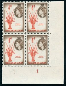 Tristan Da Cunha 1954 QEII ½d red & deep brown Plate block superb MNH. SG 14.