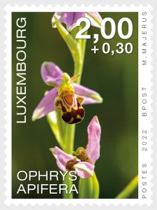 Luxembourg - Postfris/MNH - Complete set Orchids 2022