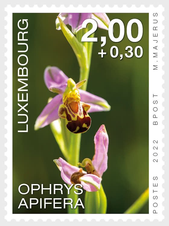 Luxembourg - Postfris/MNH - Complete set Orchids 2022