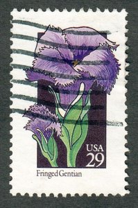 2672 Wildflowers used single