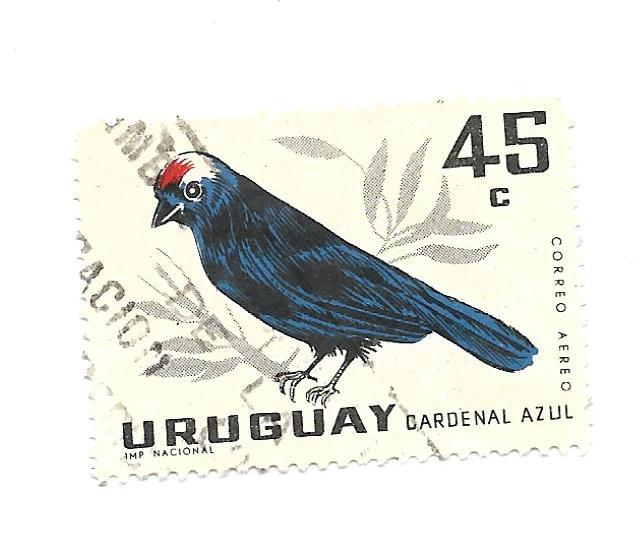 Uruguay 1962 - U - Scott #C248