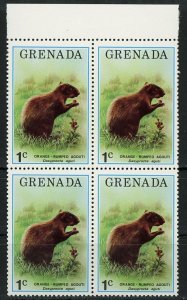 Orange Rumped Agouti Wild Animal Block of 4 Stamps MNH