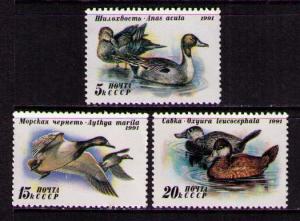 RUSSIA Sc# 6009 - 6011 MNH FVF Set3 Ducks Pintail Scaup